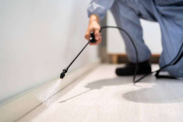 Licensed Bed Bug Control service in Anchorage Municipality County, AK - Nex Pest Control