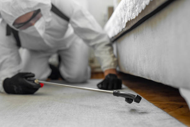 Professional Bed Bug Control technician working in Anchorage Municipality County, AK